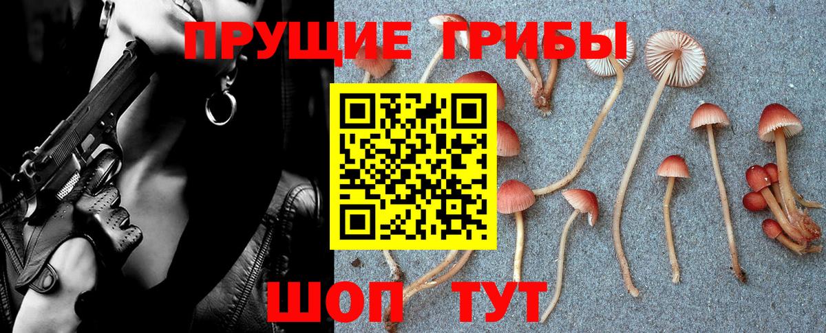 Сальск  Псилоцибиновые грибы мухоморы  где продают   Псилоцибиновые грибы Cubensis  Вход с VPN 